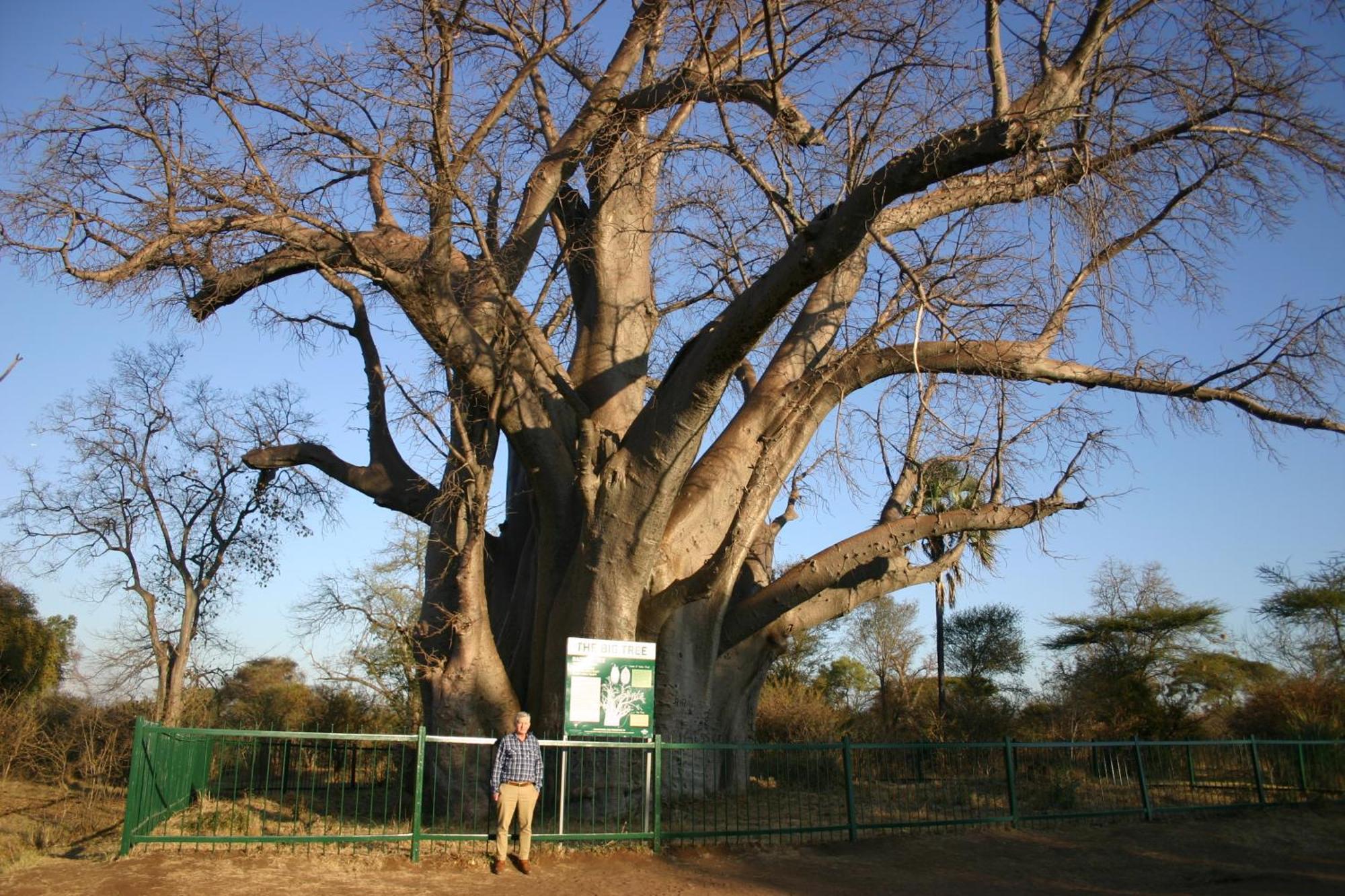 Room In Villa - Zambezi Family Lodge - Elephant Room Victoria Falls Exterior photo